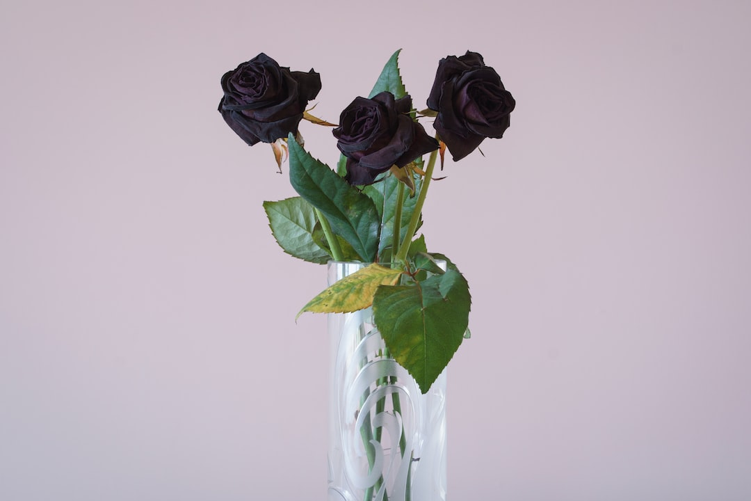 a vase filled with purple roses on top of a table