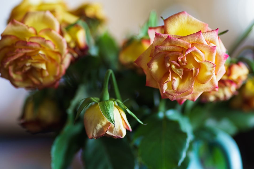 a vase filled with yellow and red flowers