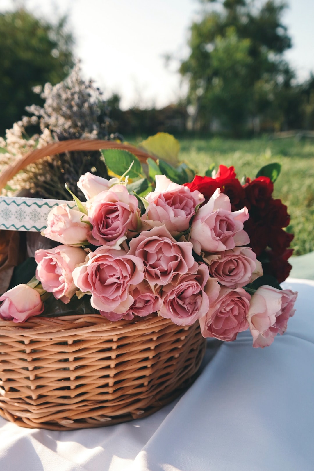 rose-flowers